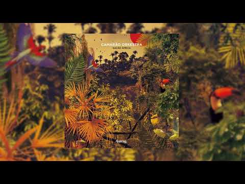 Camarão Orkestra - Nação África