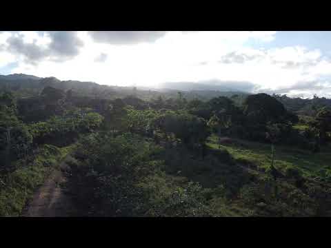 Aluna drone video thumbnail