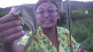 【大人店長の休日】 小さいやつなら100%釣れる