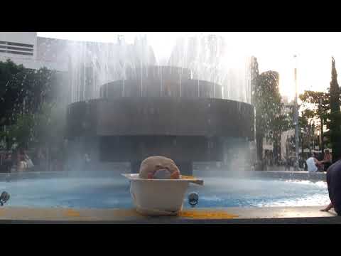 "Norma Tanega "Walkin My Cat Named Dog