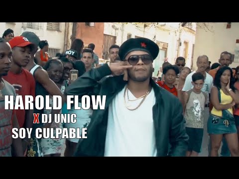 HAROLD FLOW, DJ UNIC - SOY CULPABLE