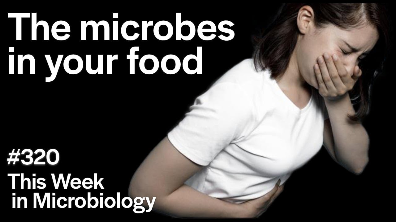 TWiM 321: The microbes in your food