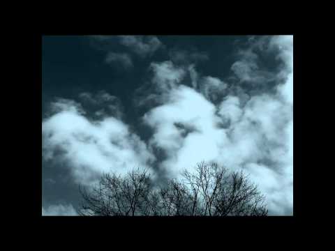 Arvel Bird - Turtle - Animal Totems CD - Clouds