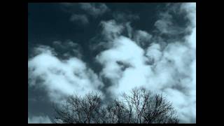 Arvel Bird - Turtle - Animal Totems CD - Clouds