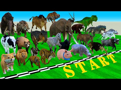 Incredible Animals Race vs Dinosaurs vs Prehistoric Mammals Speed Race Run: Who Will Win? ARBS #1