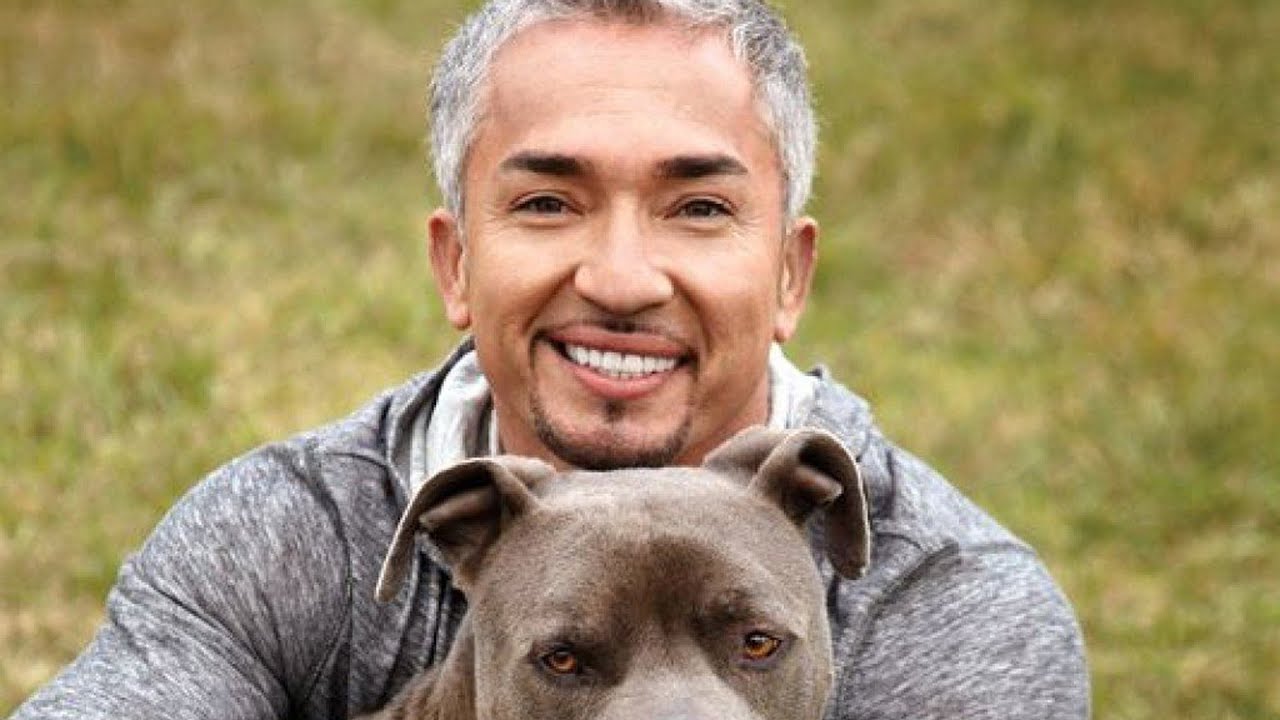 The Untold Truth Of The Dog Whisperer