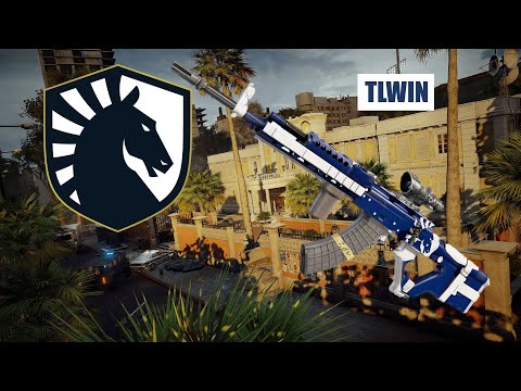 Team Liquid Skin = Win