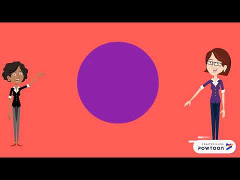 Componente Pragmático