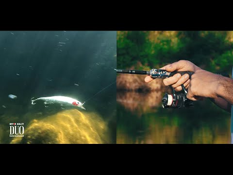 Lure Masterclass: Realis Jerkbait 120SP SW Limited - How To