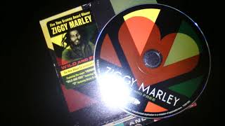 Ziggy Marley-Changes ft Daniel Marley