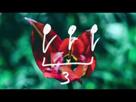 Dim Vach ft. Christine Milosi - Losing You.