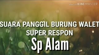 Download lagu SUARA PANGGIL BURUNG WALET SUPER RESPON original mp3