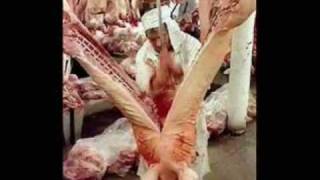 Almafuerte   De la carne