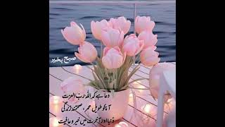 Download lagu subhanallah #love #live #hijab mp3