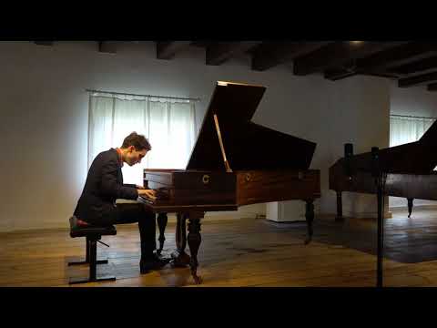 Stipe Bilic: Fryderyk Chopin:  Etude no. 11 in A Minor, Op. 25