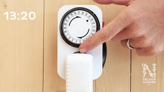 Ställ in timer belysning – Hydroponisk odling med Harvy