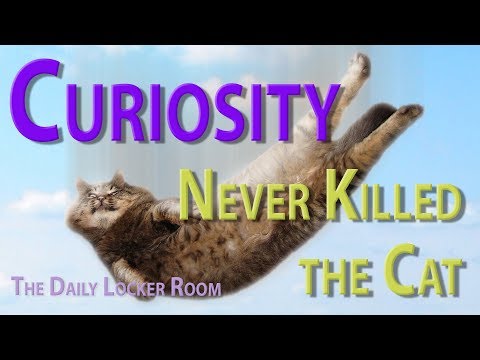 Curiosity Never Killed the Cat - David Ackerman DLR
