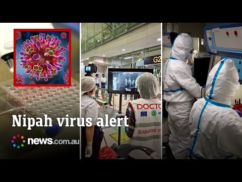 Nipah Virus fears force airports to bring back pandemic-era measures