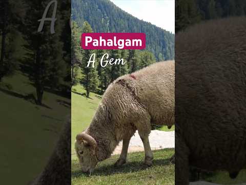 Why Pahalgam is Must Visit