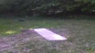 FOR THE LIPS / je suis le petit chevalier / /2010