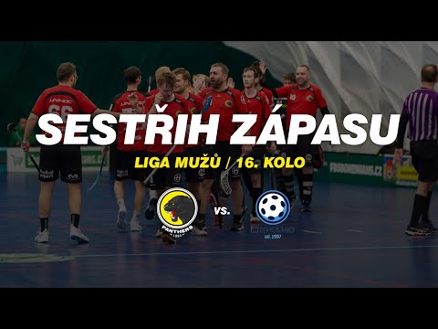 SESTŘIH | Panthers Praha Cream Team - Lhokamo Praha (16. kolo ligy mužů)