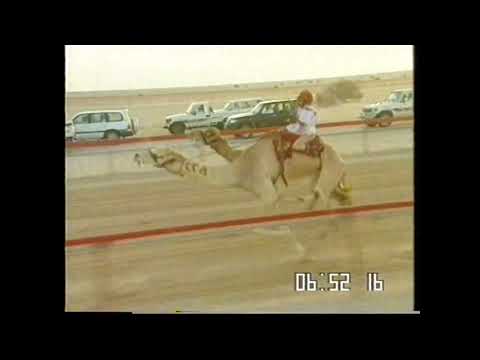 الشوط 1.. (حيل وزمول للقبائل) مهرجان سمو الأمير المفدى 19-4-2005