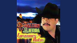 Escuche Las Golondrinas Lyrics English Translation