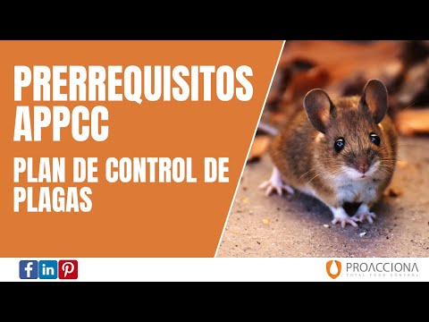 , title : 'Prerrequisitos del APPCC - Plan de Control de Plagas'