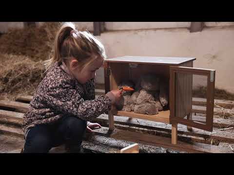 Bunny mom and baby enjoys a day of cozy moments in their charming bunny hutch