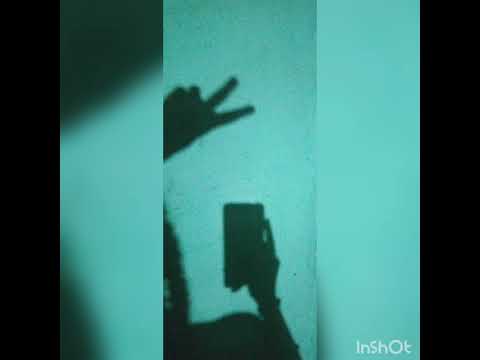 Jo beji thi dua song || Tansi