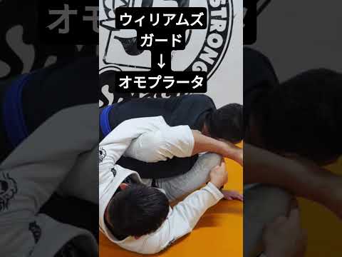 【柔術】ウィリアムズガードからオモプラータ！