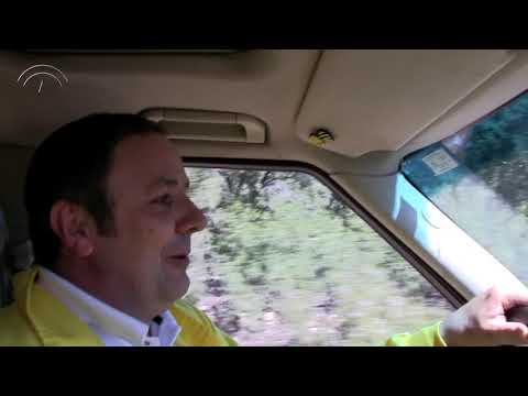 Promoción Apicultura ecológica [2018]