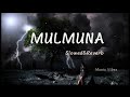 MULMUNA Slowed And Reverb MusicVibes750