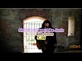 Rodriguez  ~ "Like Janis"  live with lyrics