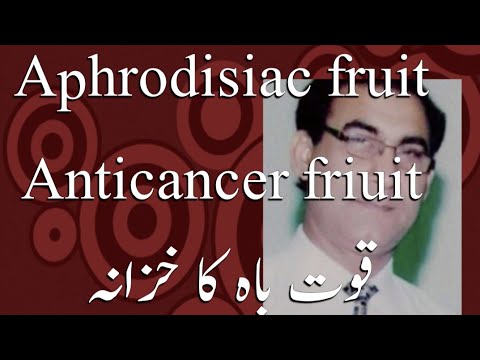 Benefits of Mango | food value of mango | Dr Sagheer Ahmad |