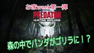 ［お家Week第一段］名作映画がついにゲーム化！　パンダの生放送[PREDATOR [PS4版]］