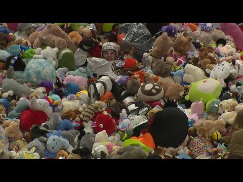 One goal triggers Teddy Bear Toss in Hershey