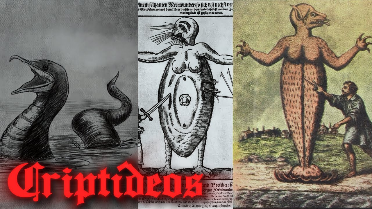 Os Criptídeos Brasileiros...💀(parte 2)