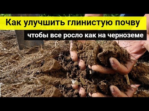 Как улучшить глинистую почву, чтобы все росло как на черноземе: 5 идеальных разрыхлителей