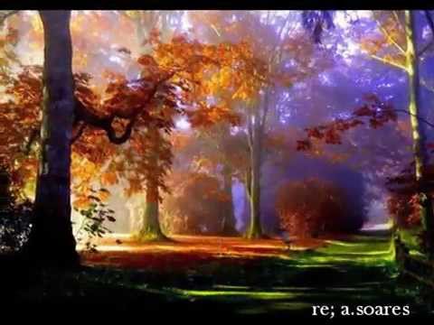 Bruno & Marrone & Sidney do Cerrado - meu endereço,,,