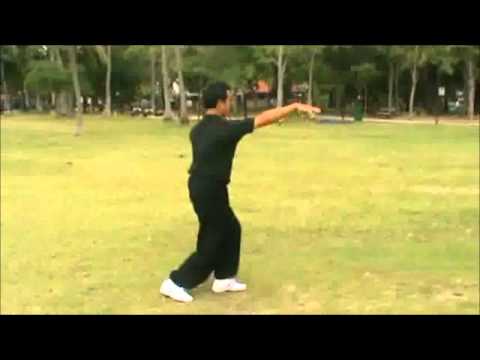 YangShi Taiji Quan 42....by Master Daniel Tan !