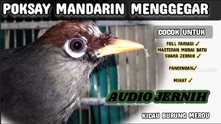 Download lagu menggelegar & unik fariasi Poksay Mandarin Gacor, Cocok Buat Isian Murai Batu, Pancingan AMPUHh mp3