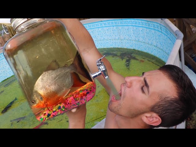 Drinking Nasty FISH WATER Out Of DRINKING JUG!! **GROSS**