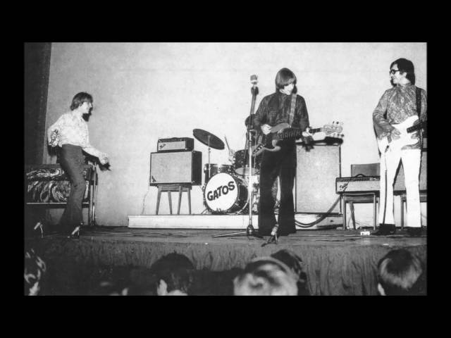 Los Gatos - Cuatro Meses