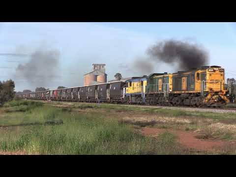 SSR 4377 short view of grain train Yenda to Tharbogang 16 June 2020