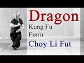 Dragon Form Choy Li Fut Kung Fu