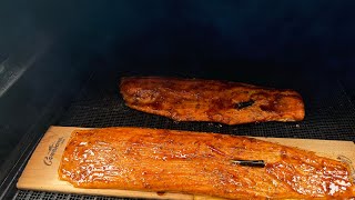 BBQ Salmon on the Pellet Grill