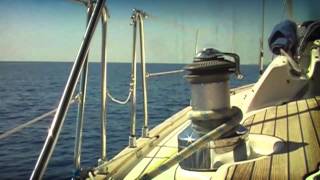 Nighthawks Fortune (official video)