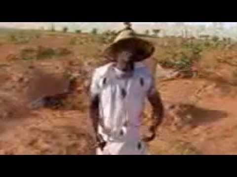 Seyni Maiga Dossa - Niger musique