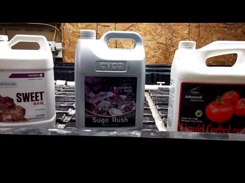 Sugars-  Do I Even Need To Use Them Marijuana Plants?